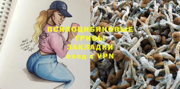 гашик Баксан