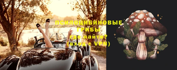 гашик Баксан
