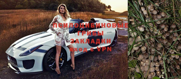гашик Баксан